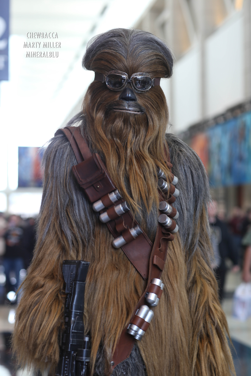 Illustration for article titled Some Of The Best Star Wars Cosplay For 2019